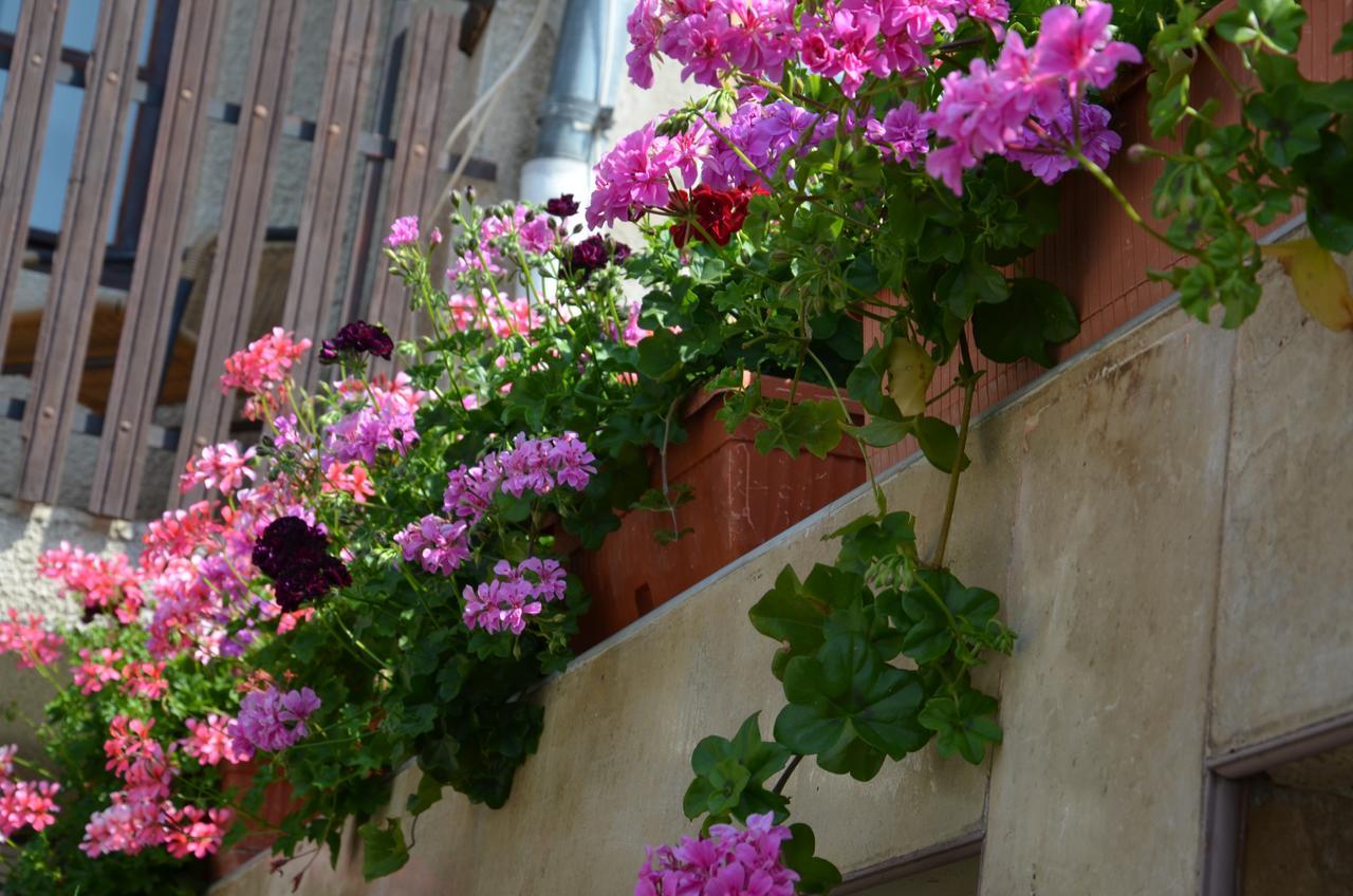 Villa Rosi Sozopol Zewnętrze zdjęcie